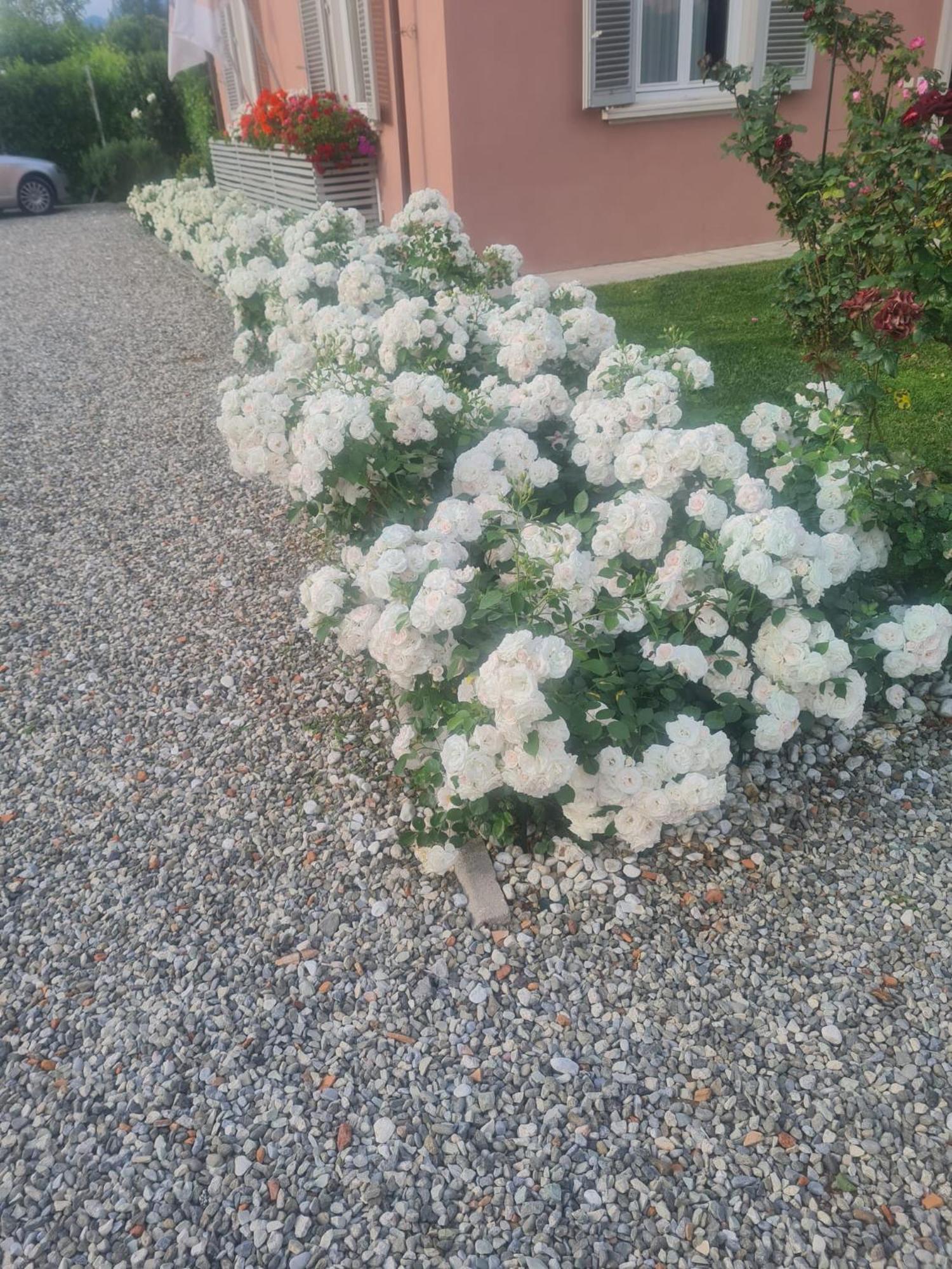 Il Buen Retiro Hotel Lucca Exterior photo